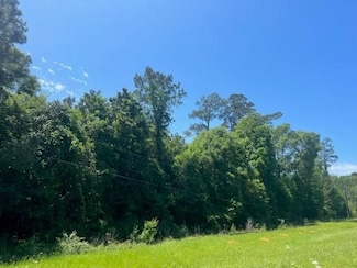 TBD W Crystal Lakes, Livingston, TX 77351