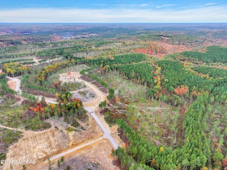 0 Davis Rd Unit 1311165, Sunbright, TN 37872