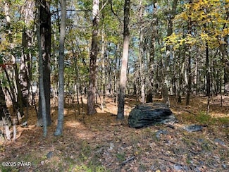 Lot 33 Primrose Ln, Birchwood Lakes, PA 18328