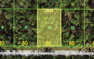 13382 Pebble Ave, Port Charlotte, FL 33953
