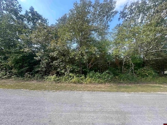 301 W Lansing Ave, Horseshoe Bend, AR 72512