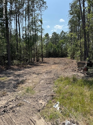 23465 Mississippi 603, Kiln, MS 39556