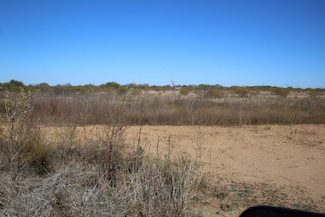 0 County Road 171, Bangs, TX 76823