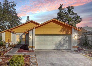2020 Helm Ln, Valrico, FL 33594