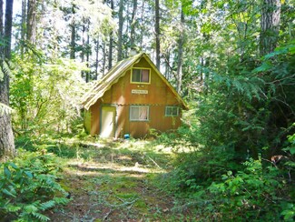 300 Bay View Ave, Brinnon, WA 98320