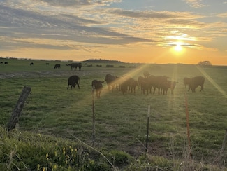 0 County Road 200, San Saba, TX 76877