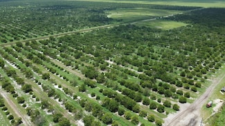 3274 Auburn St, Lorida, FL 33857