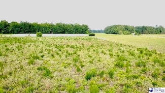 1914 N Old Georgetown Rd, Scranton, SC 29591