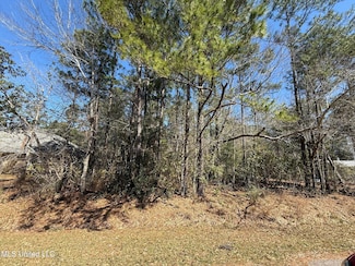 6317 Anela Dr, Diamondhead, MS 39525