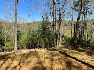 0 Sleepy Creek Trail Unit Lot 307, Deep Gap, NC 28618