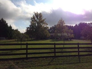 41720 Thomas Boat Landing Rd, Umatilla, FL 32784