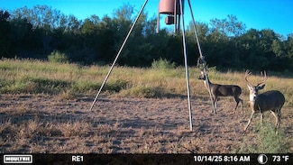 Tbd Los Lobos Rd, New Falcon, TX 78584