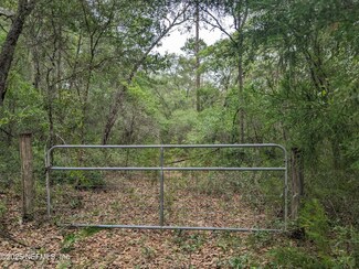 310 Orange Springs Cutoff Rd, Hawthorne, FL 32640
