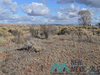 TBD Primrose Place, Thoreau, NM 87323