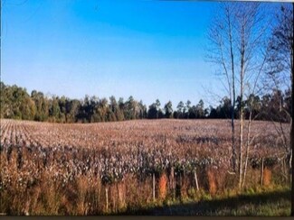 Lot# 4 Gilbert Road (5 20 Acres), Elko, GA 31025