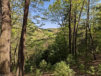 TBD Sutter's Ridge Rd Unit Lot 94, McGrady, NC 28649