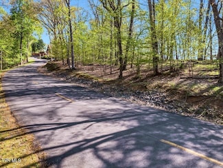351 Chelaque Way, Mooresburg, TN 37811
