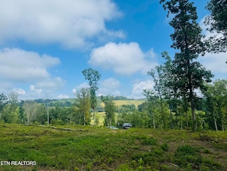 0 Tract 2 Mill Creek Rd, Andersonville, TN 37705