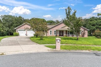 18940 Black Gum Ct, Hudson, FL 34667