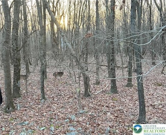 121 Piute Trail Unit CP1002, Penn Forest Township, PA 18210