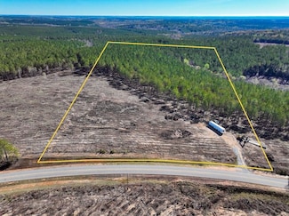 0 Hwy 112 Unit LotWP004 23024948, Toomsboro, GA 31090