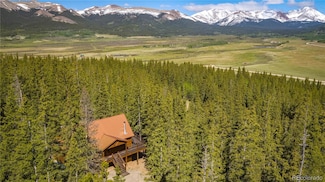336 Georgia Pass Lookout Rd, Fairplay, CO 80456