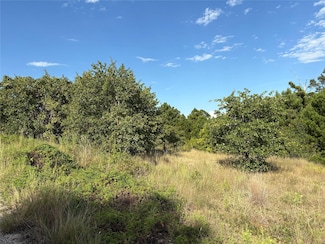 TBD Kimo Ct, Bastrop, TX 78602