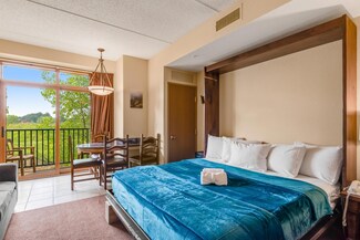 2504 River Rd Unit 7231, Wisconsin Dells, WI 53965