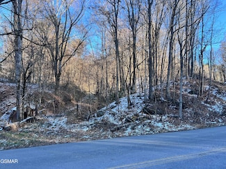 - Maples Branch Rd, Sevierville, TN 37876