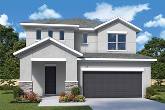 Zander, Apollo Beach, FL 33572