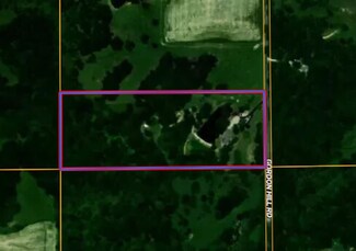453 Gordon Hill Rd, Waverly, IL 62692