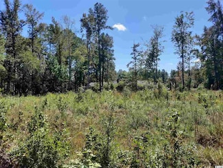 Lot 60 E Wisteria Dr, Hemingway, SC 29554