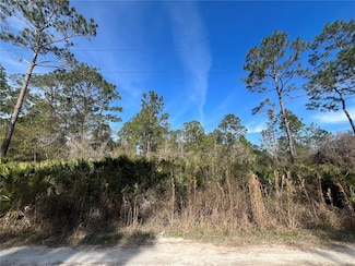 0 Appaloosa Dr, Interlachen, FL 32148