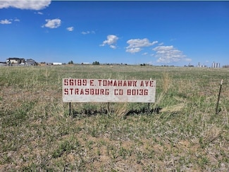 56189 E Tomahawk Ave, Strasburg, CO 80136