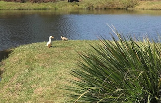 Lot 15 Block A Eagles View, Headland, AL 36345