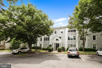 14018 Valleyfield Dr Unit 6-7, Silver Spring, MD 20906
