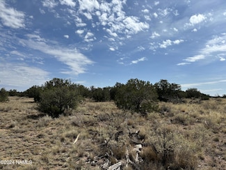 4685 E Oakwood Dr Unit 103, Williams, AZ 86046