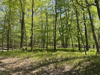 9236 Lost Canyon Ct, Canadian Lakes, MI 49346