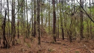 00 Barker Ln, Hazlehurst, MS 39083