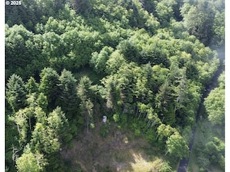 0 Gimlet Ln, Yachats, OR 97498