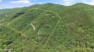 216 Old Cove Rd, Walland, TN 37886