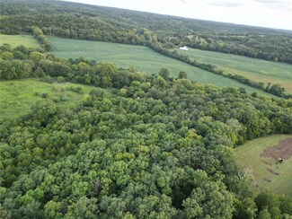 11 Tanglefoot Farms Rd, Festus, MO 63028