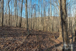 885 Stoney Stream Ln, Arden, NC 28704