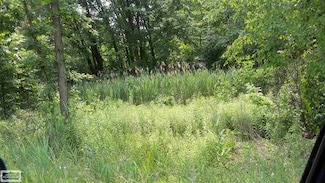 26080 21 Mile Rd, Chesterfield, MI 48051