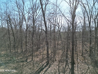 1047 Yucatan Ln, Crossville, TN 38572