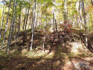 0 High Windy Dr Unit 388, Lake Lure, NC 28746