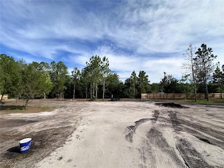 0 Deborah Ct, Astor, FL 32102