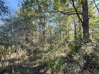 0 Country Rd, Rumley Township, OH 43986