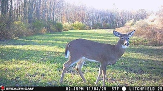 0 Hill Rd, South Waverly, PA 18840