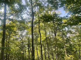 10468 Indiana 262, Dillsboro, IN 47018